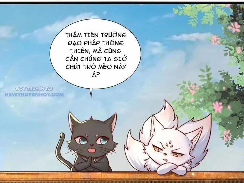 Ta Thực Sự Không Muốn Làm Thần Tiên 77 trang 3