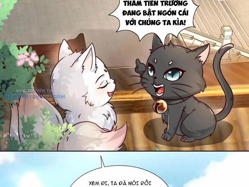 Ta Thực Sự Không Muốn Làm Thần Tiên 77 trang 49