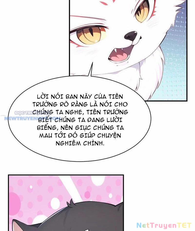 Ta Thực Sự Không Muốn Làm Thần Tiên 86 trang 45