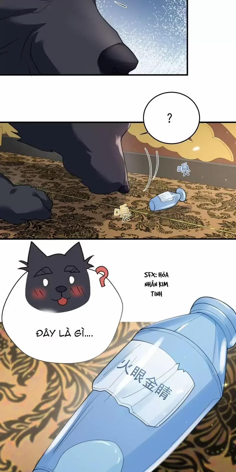 Ta Vô Địch Lúc Nào 218 trang 25