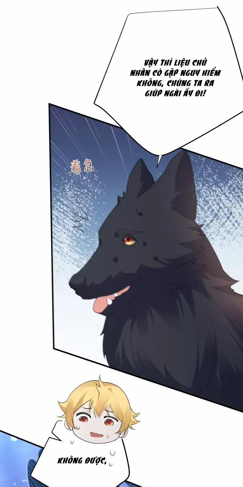 Ta Vô Địch Lúc Nào 233 trang 5