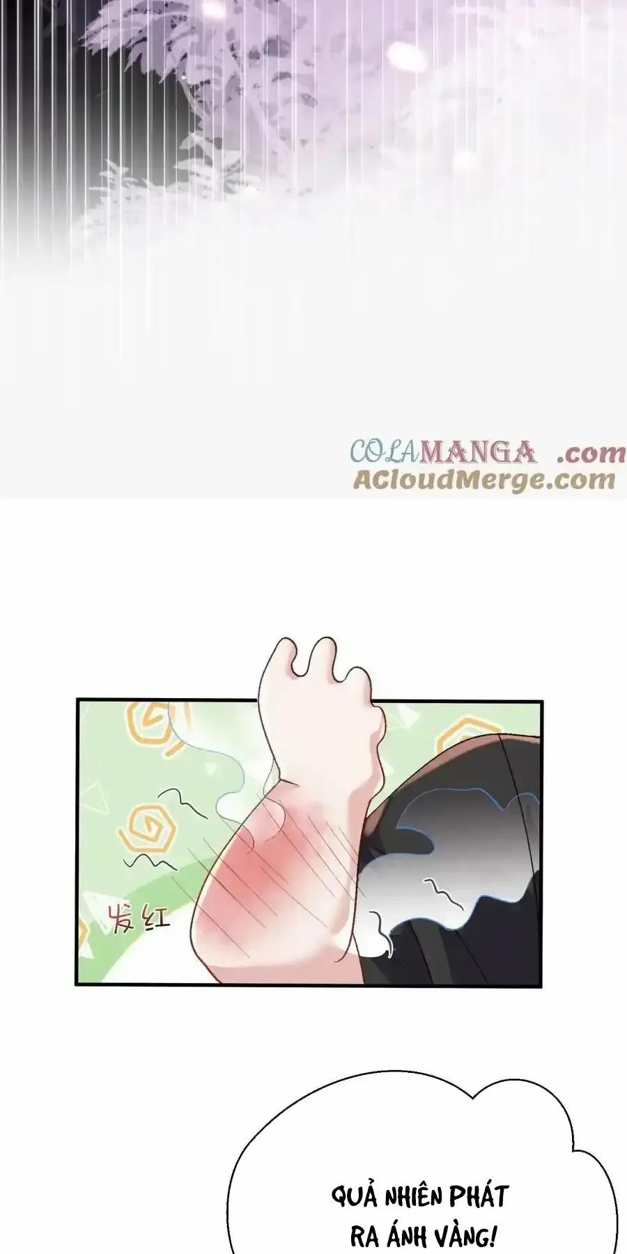 Ta Vô Địch Lúc Nào 238 trang 22