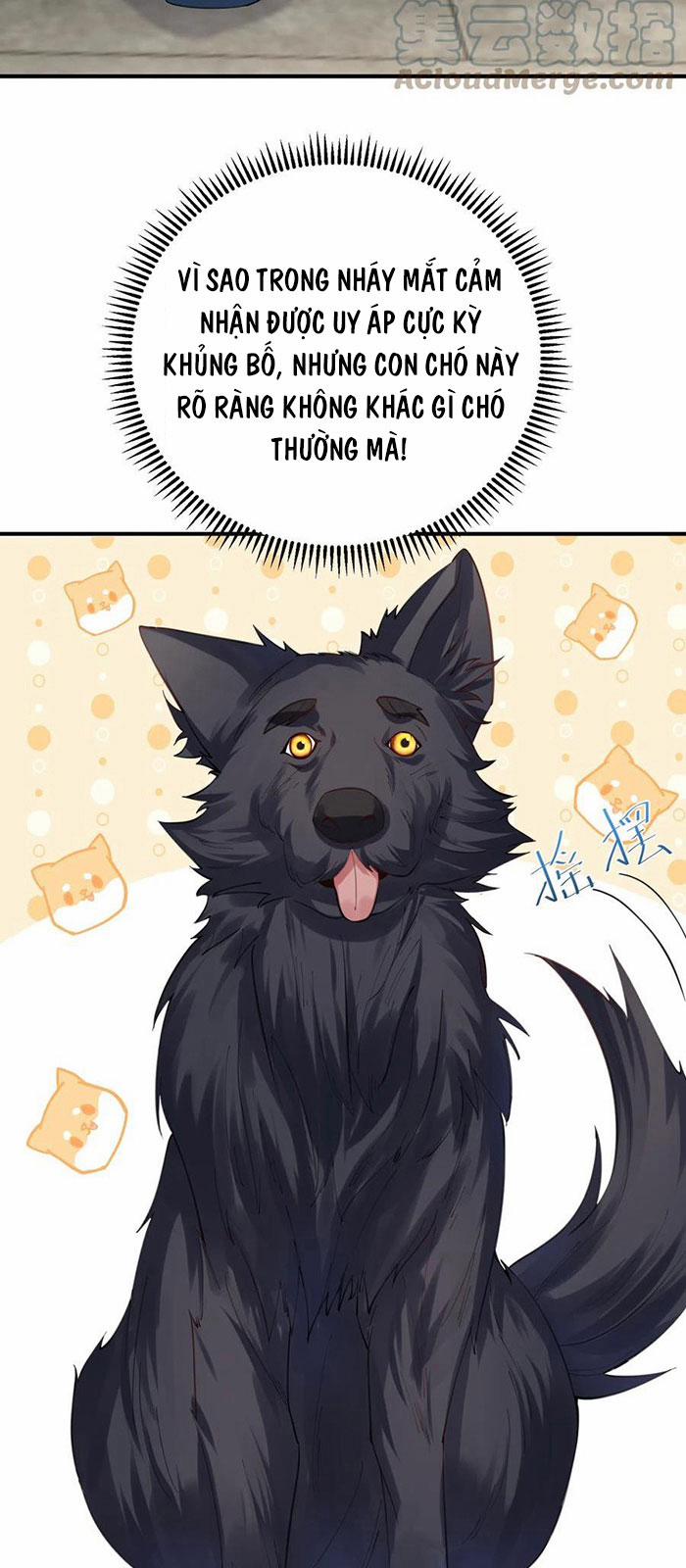 Ta Vô Địch Lúc Nào 52 trang 8