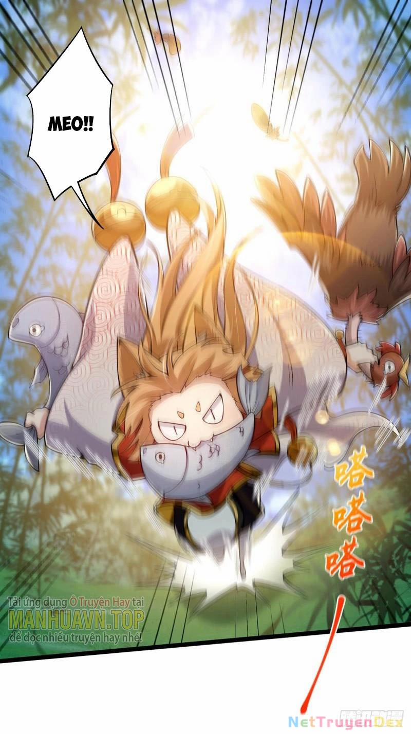 Ta Xuyên Không Với Max Điểm Mị Lực 22 trang 1