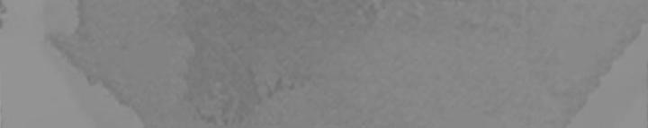 Tạng Phong Hành 220 trang 21