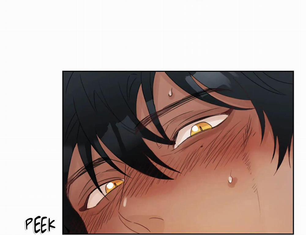 Tập Manhwa Ngắn Xôi Thịt 18+ 31 trang 10