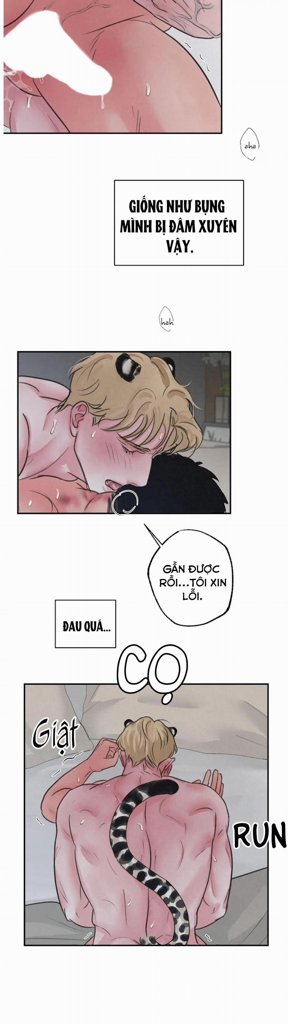 Tập Manhwa Ngắn Xôi Thịt 18+ 38 trang 21