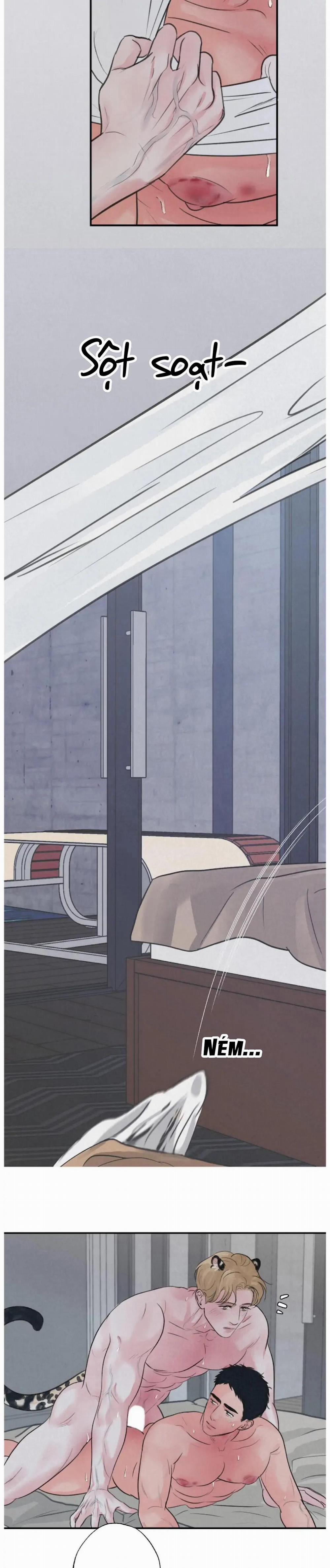 Tập Manhwa Ngắn Xôi Thịt 18+ 38 trang 4