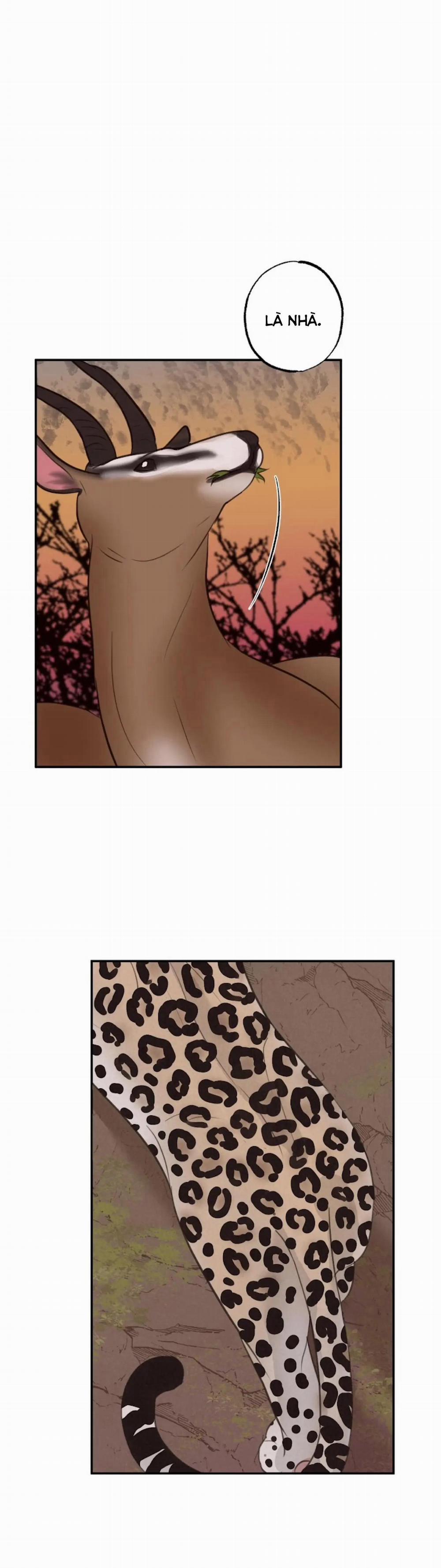 Tập Manhwa Ngắn Xôi Thịt 18+ 43 trang 22