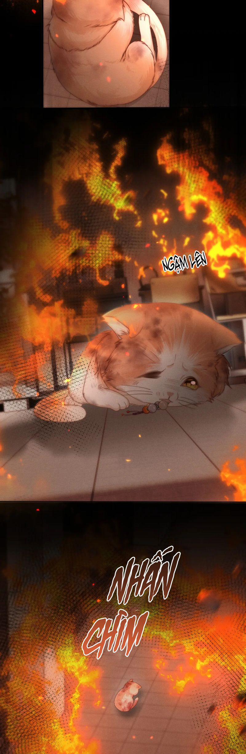 Tật Xấu Nuông Chiều 5 trang 14