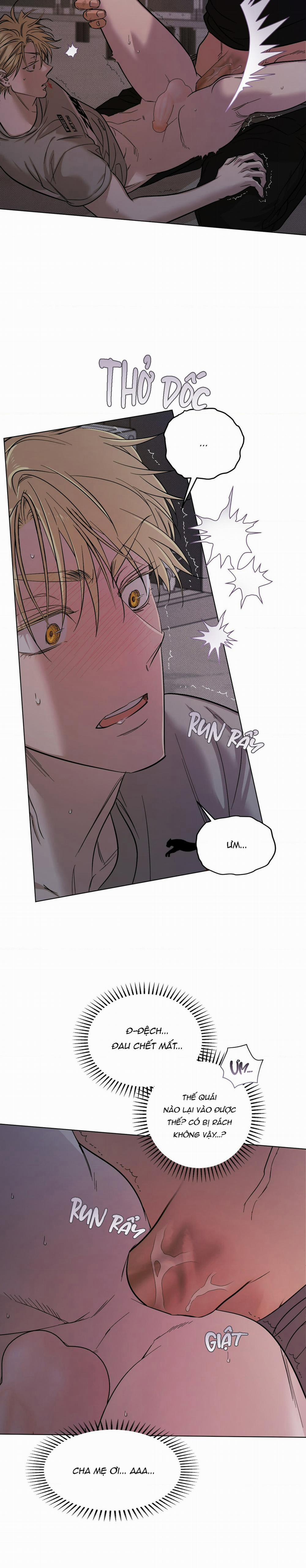 Tay Đua Đẳng Cấp 14 trang 5