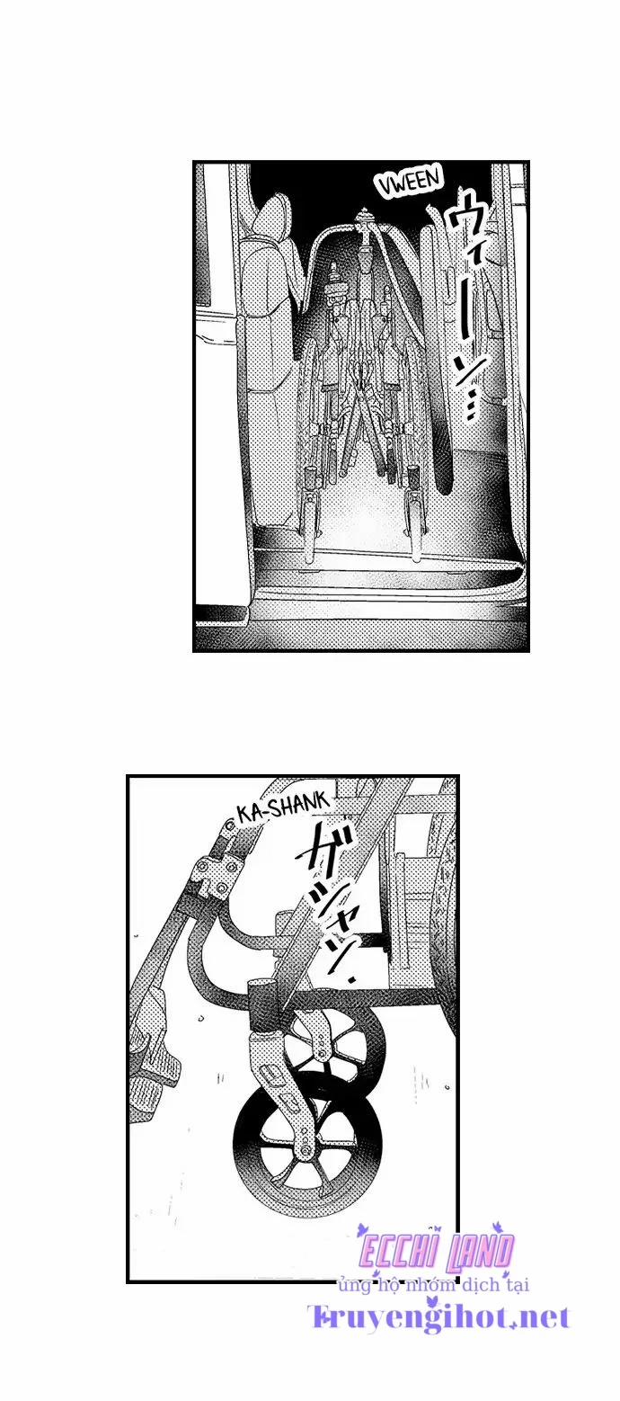 Thả Thính Chàng Gấu Nhà Tôi 71.2 trang 3