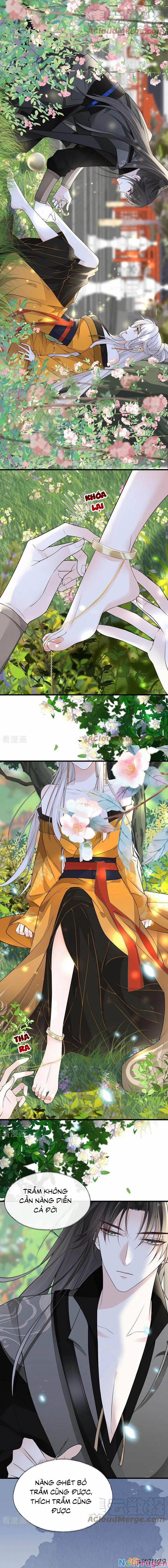 Thái Hậu Quân Hạ Thần 106 trang 8