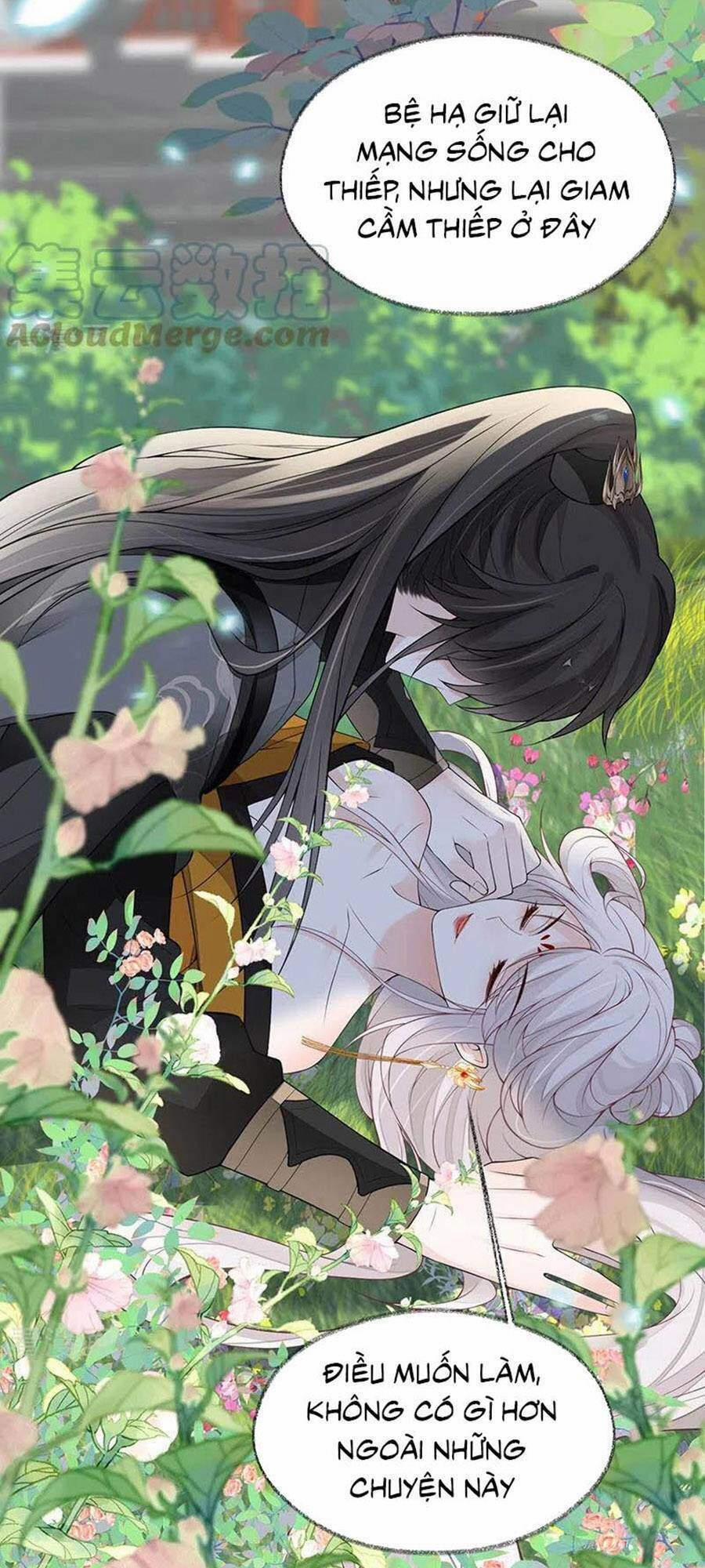 Thái Hậu Quân Hạ Thần 107 trang 12