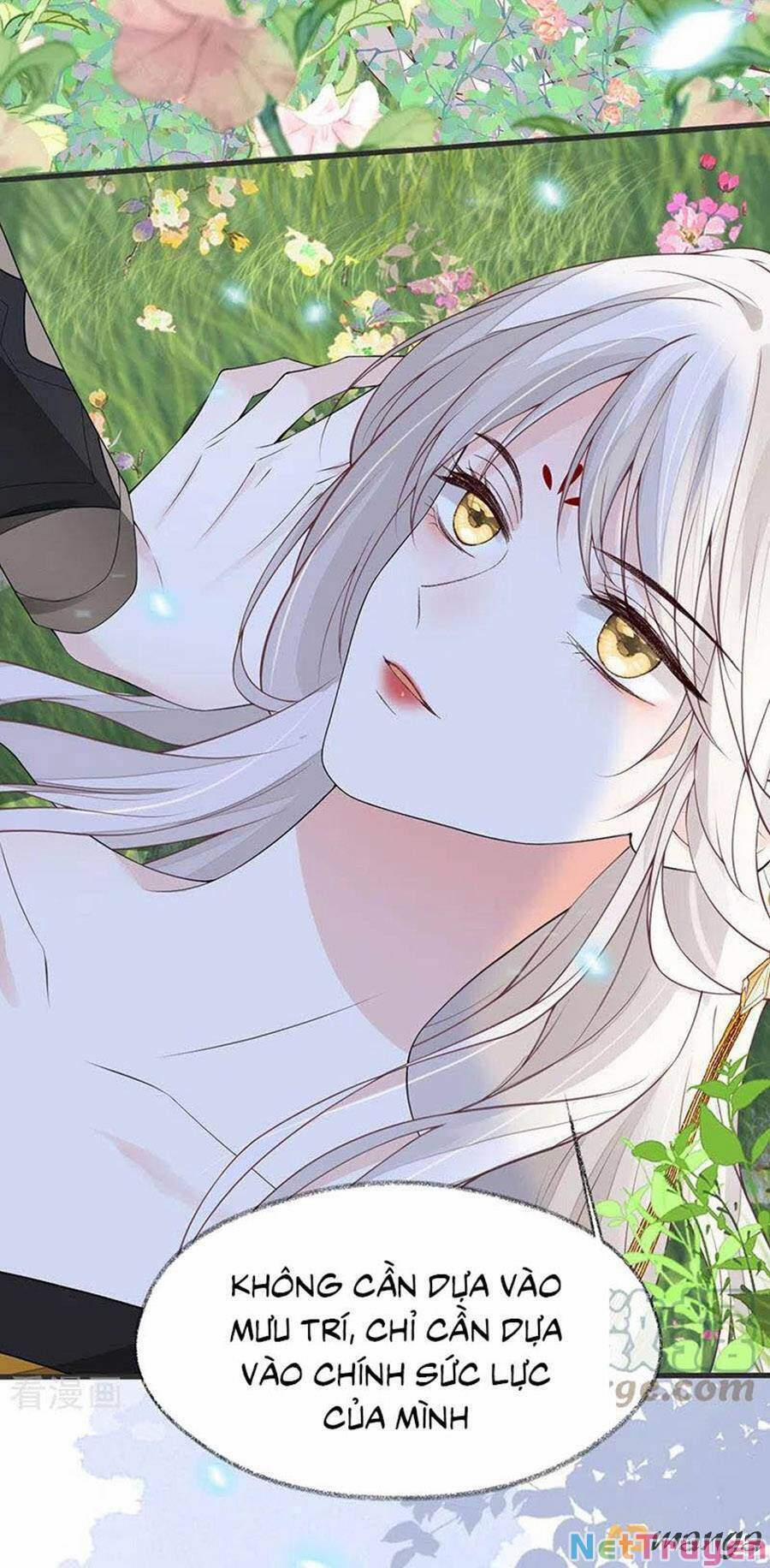 Thái Hậu Quân Hạ Thần 107 trang 13