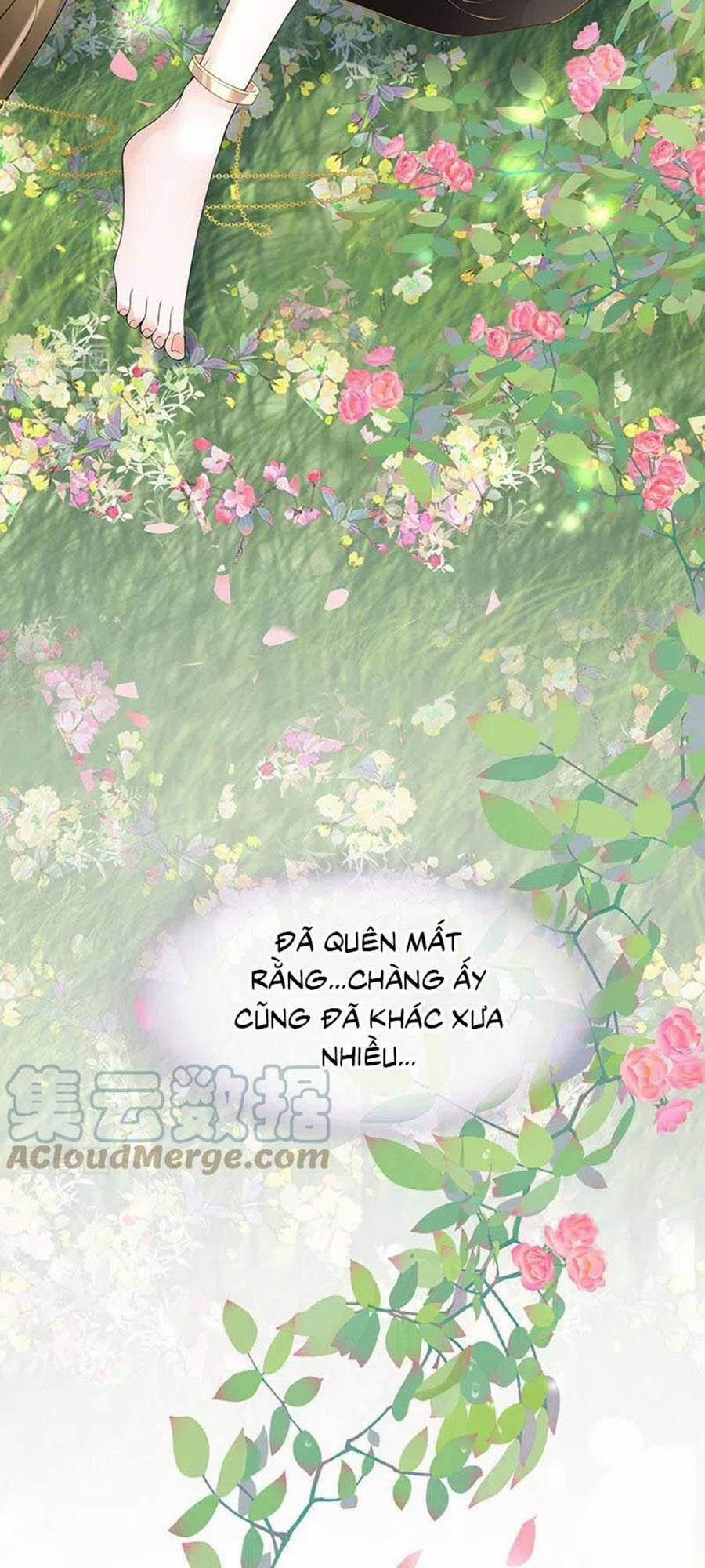 Thái Hậu Quân Hạ Thần 107 trang 28