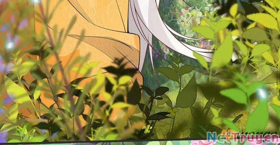 Thái Hậu Quân Hạ Thần 107 trang 7