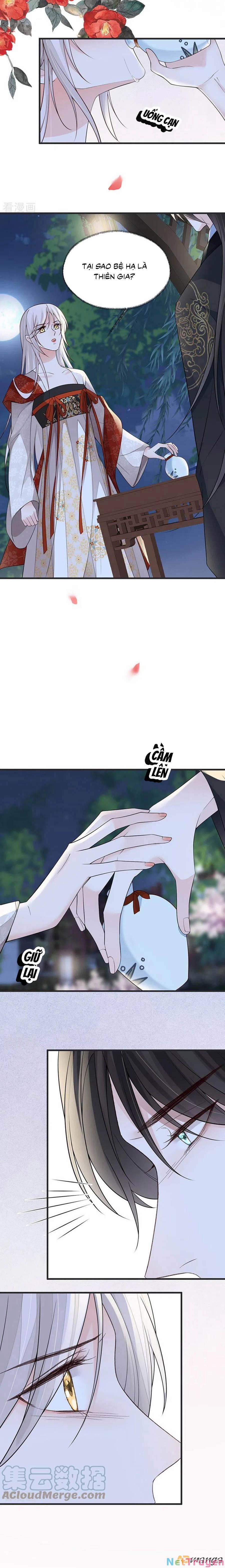 Thái Hậu Quân Hạ Thần 117 trang 8