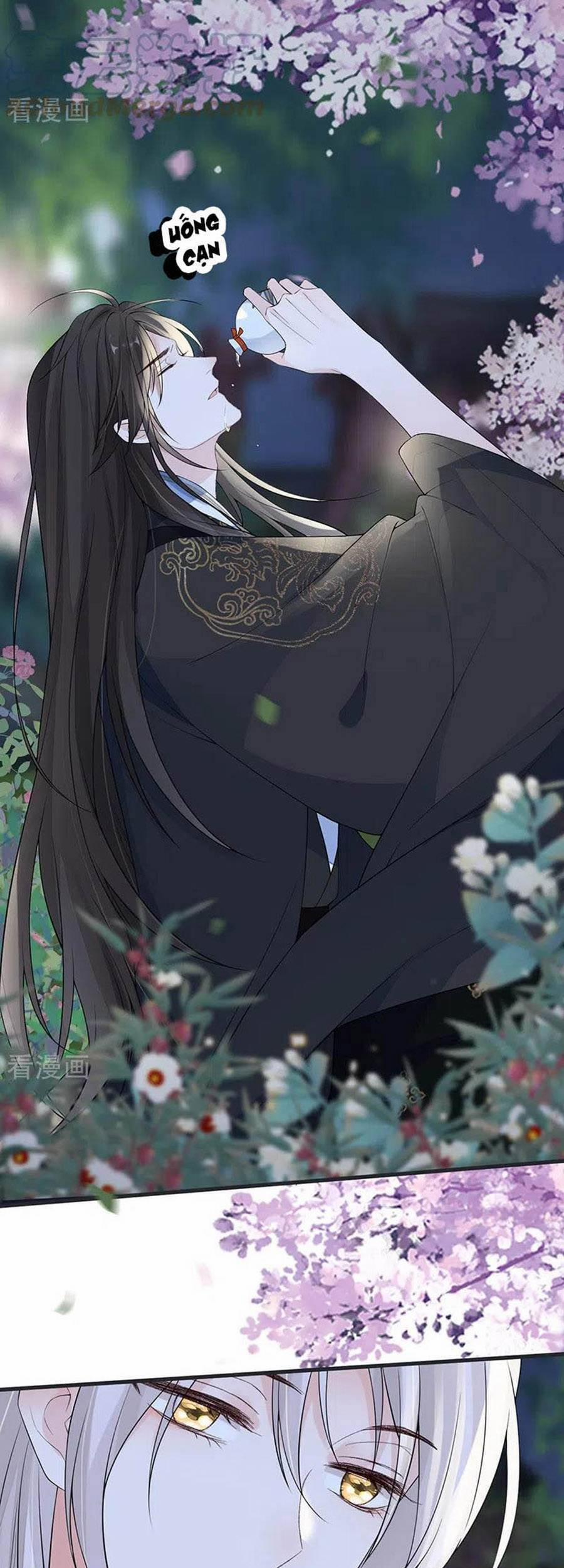 Thái Hậu Quân Hạ Thần 120 trang 24