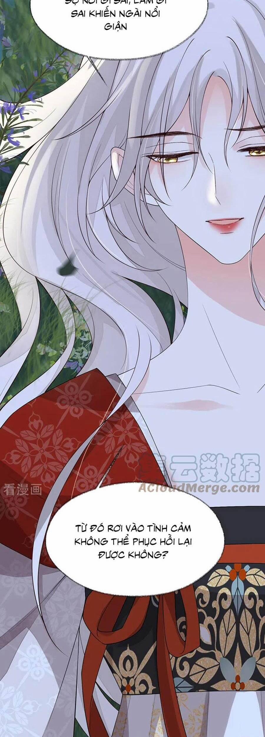 Thái Hậu Quân Hạ Thần 121 trang 12