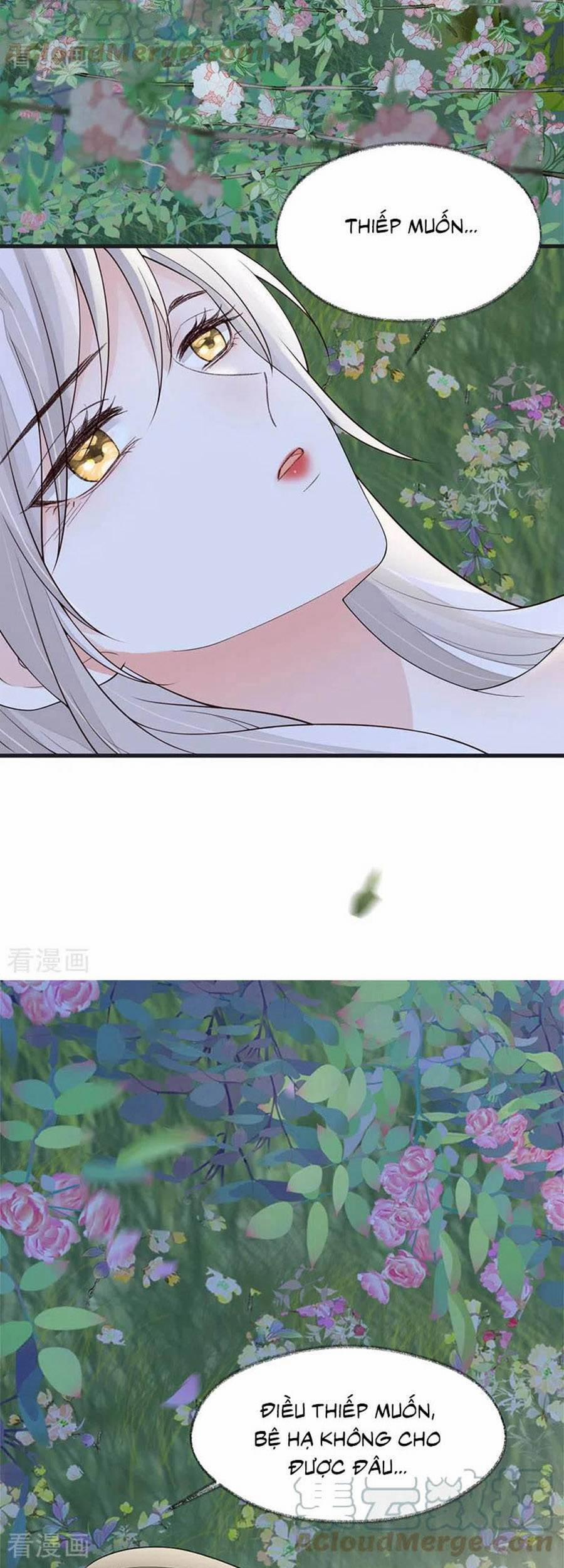 Thái Hậu Quân Hạ Thần 121 trang 7