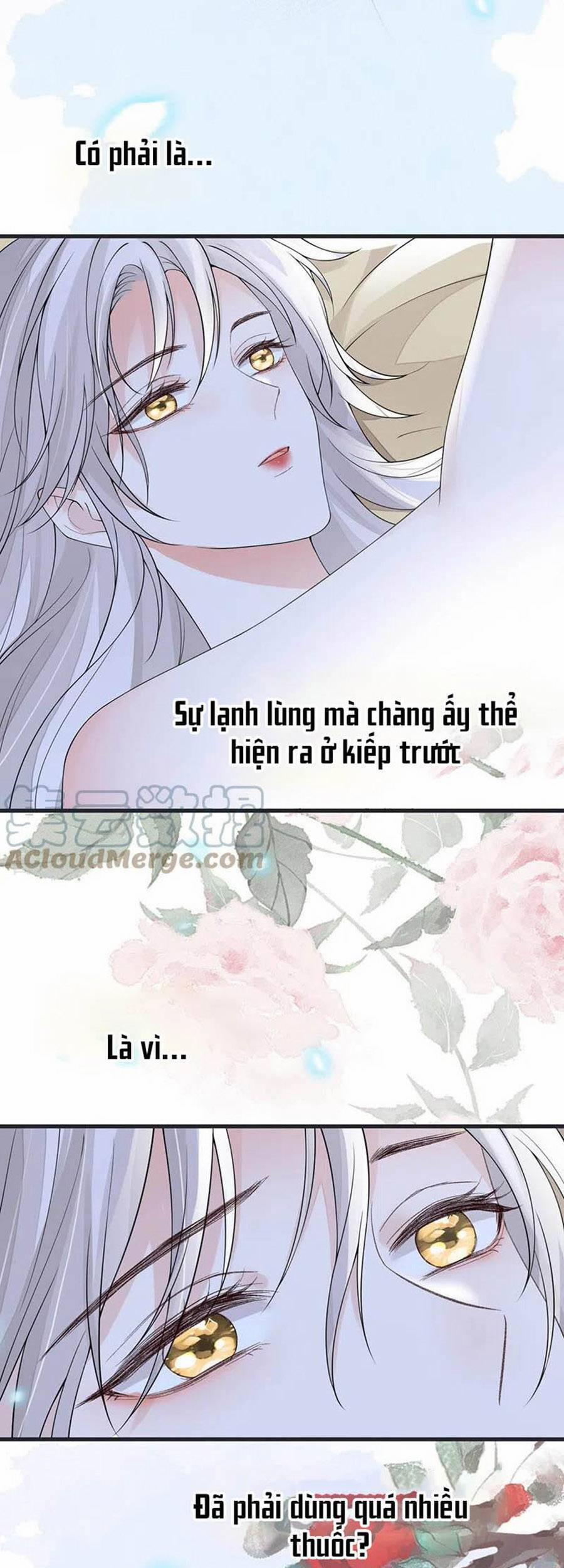 Thái Hậu Quân Hạ Thần 122 trang 26