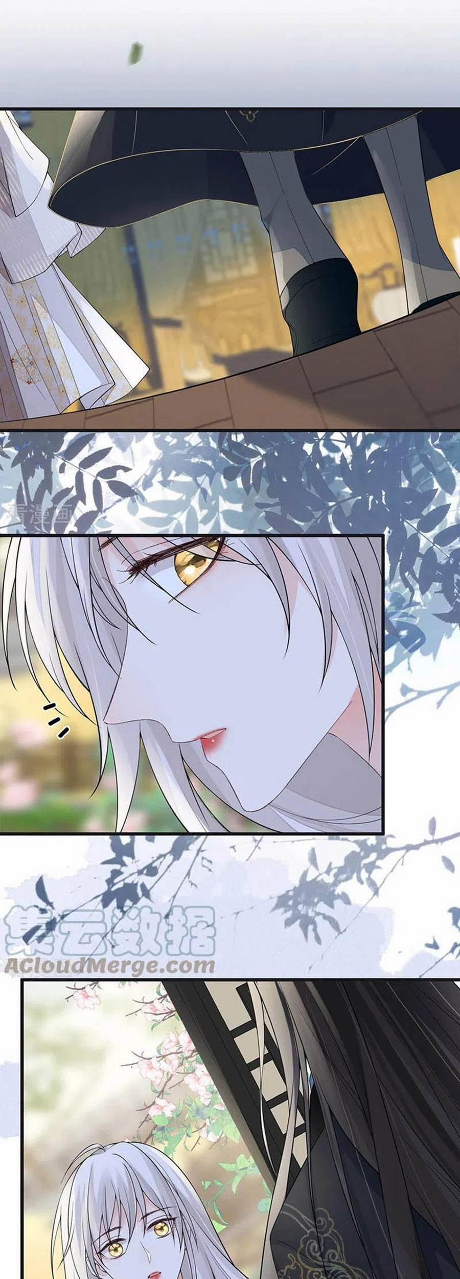 Thái Hậu Quân Hạ Thần 126 trang 12