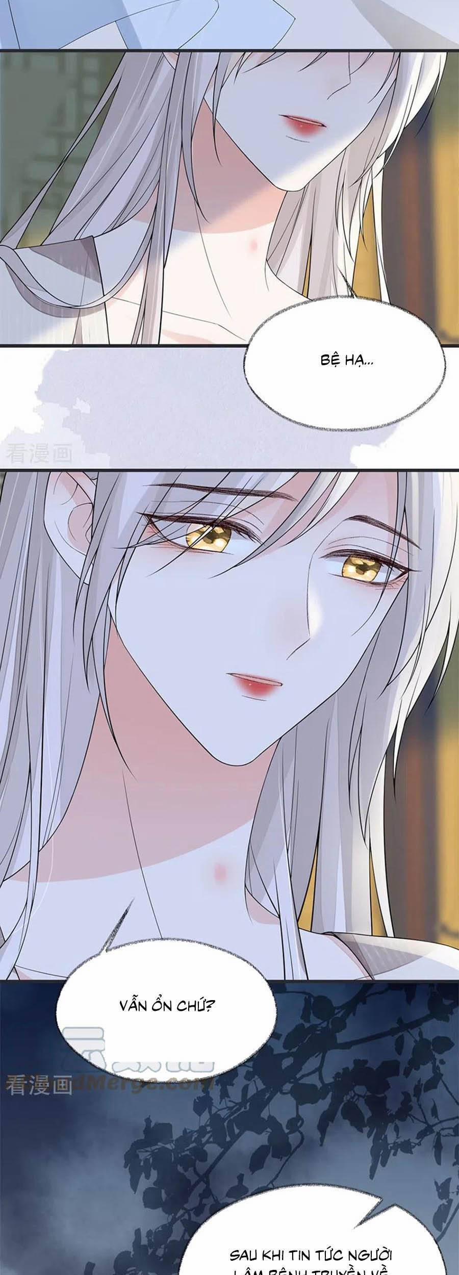 Thái Hậu Quân Hạ Thần 127 trang 24