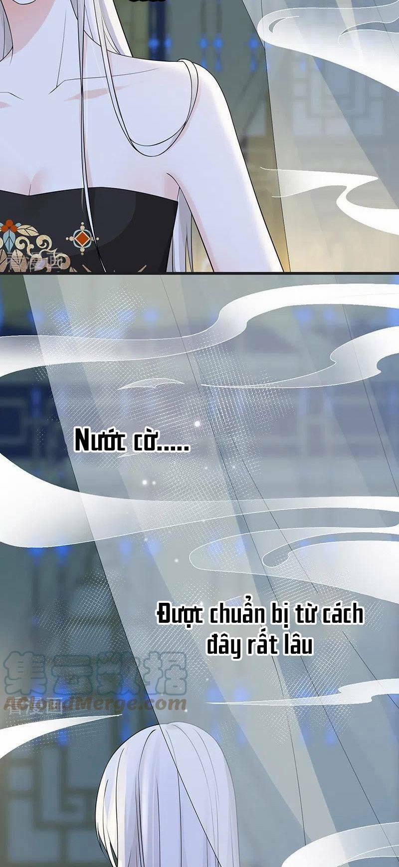 Thái Hậu Quân Hạ Thần 129 trang 13