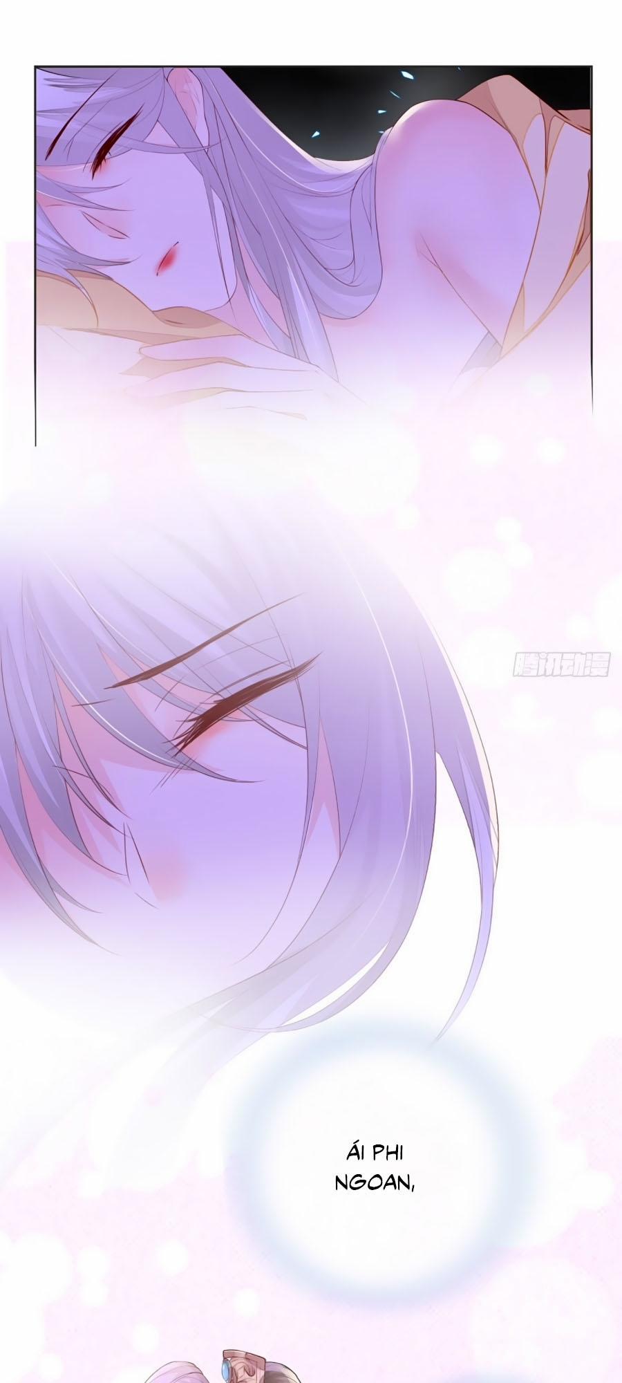 Thái Hậu Quân Hạ Thần 13 trang 26