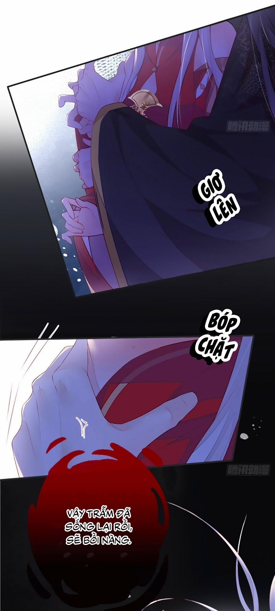 Thái Hậu Quân Hạ Thần 13 trang 28