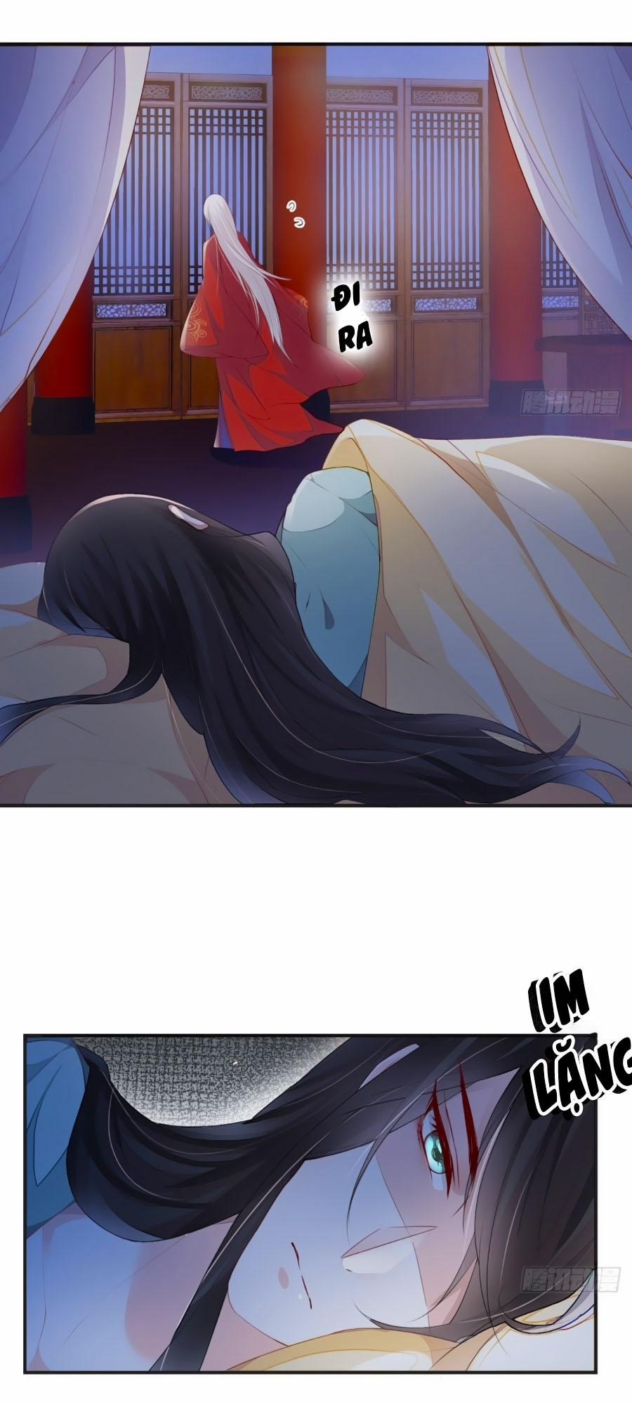 Thái Hậu Quân Hạ Thần 14 trang 11