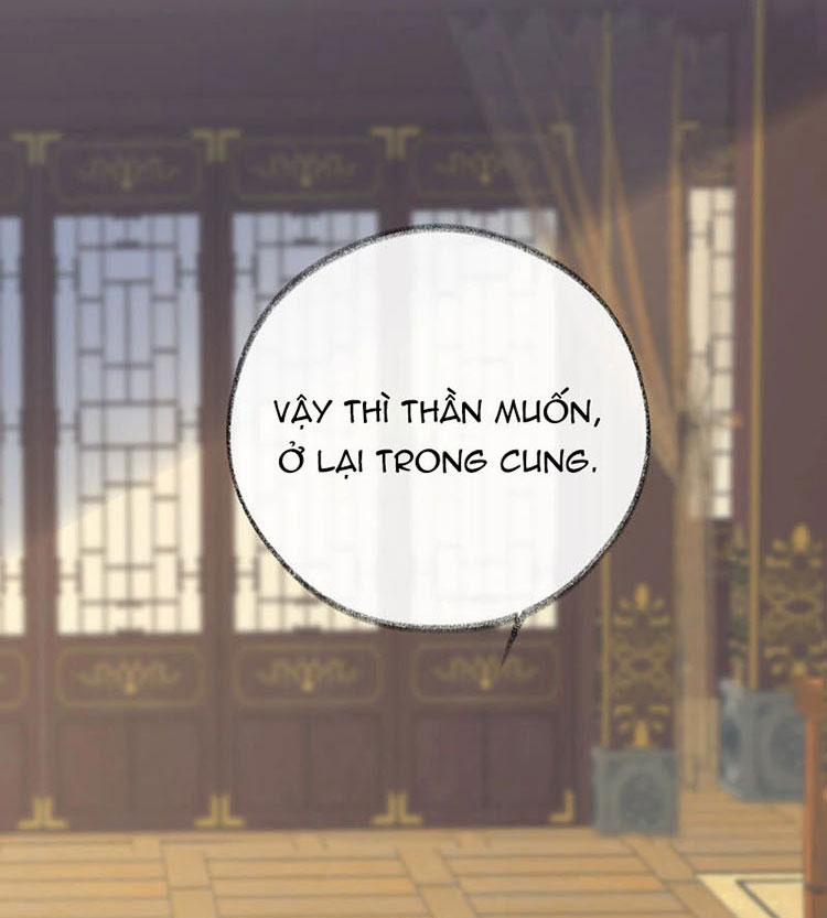Thái Hậu Quân Hạ Thần 23 trang 11