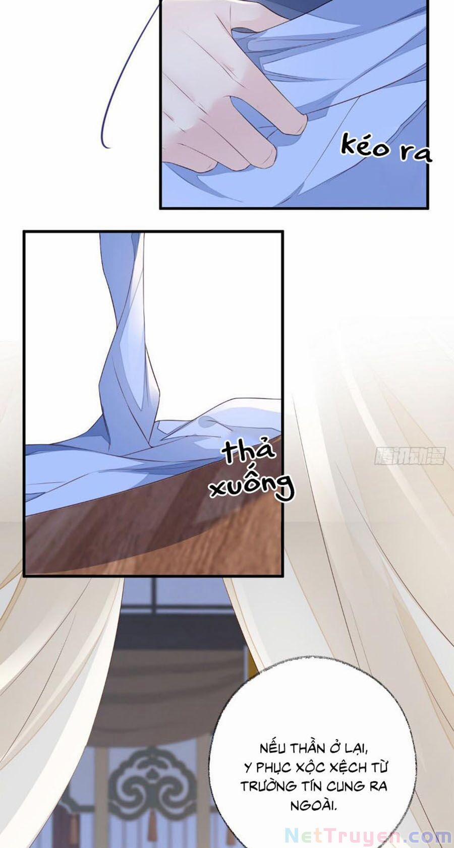Thái Hậu Quân Hạ Thần 28 trang 35