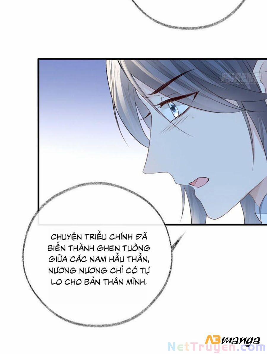 Thái Hậu Quân Hạ Thần 28 trang 4
