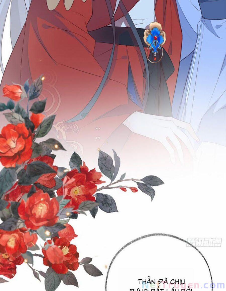 Thái Hậu Quân Hạ Thần 28 trang 8