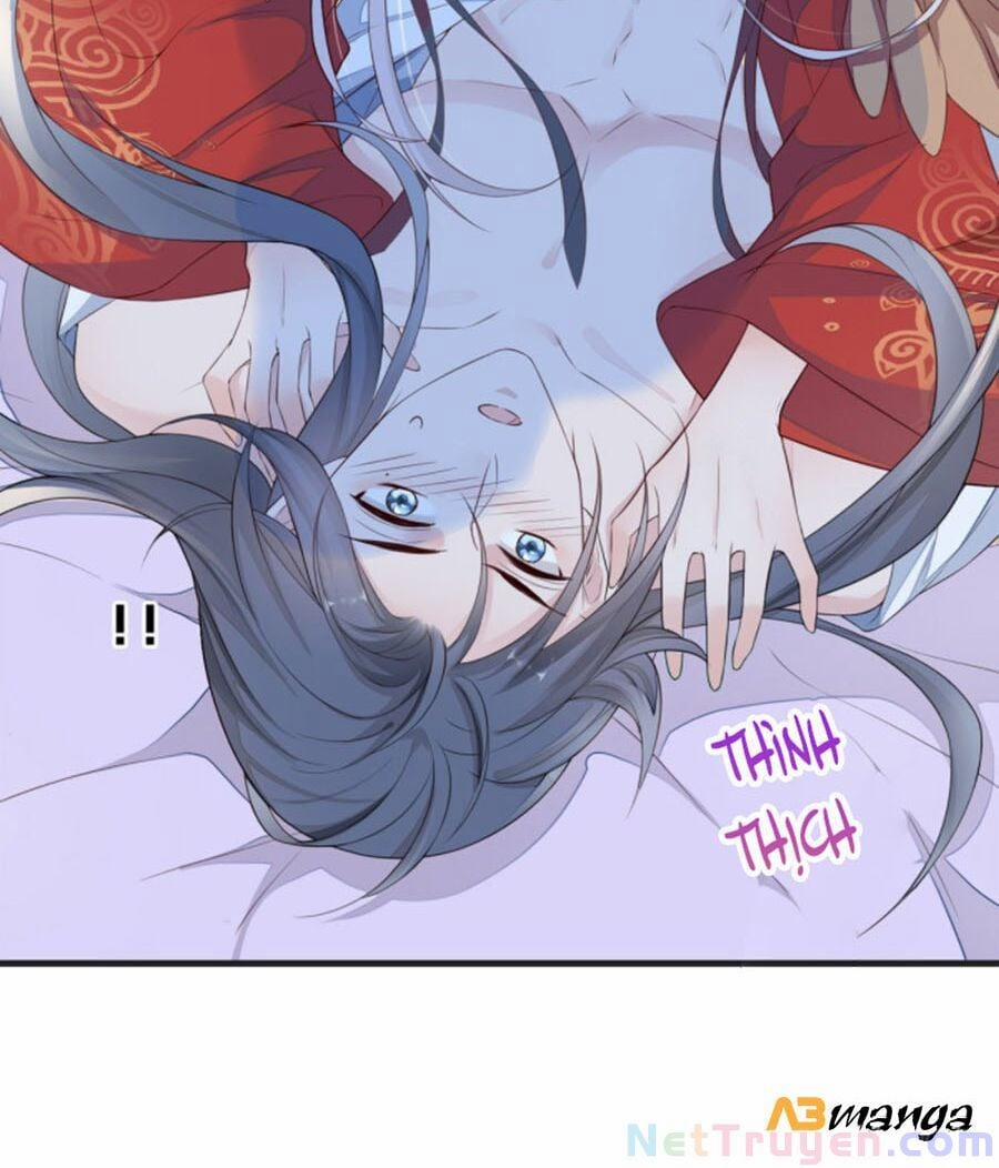 Thái Hậu Quân Hạ Thần 29 trang 11