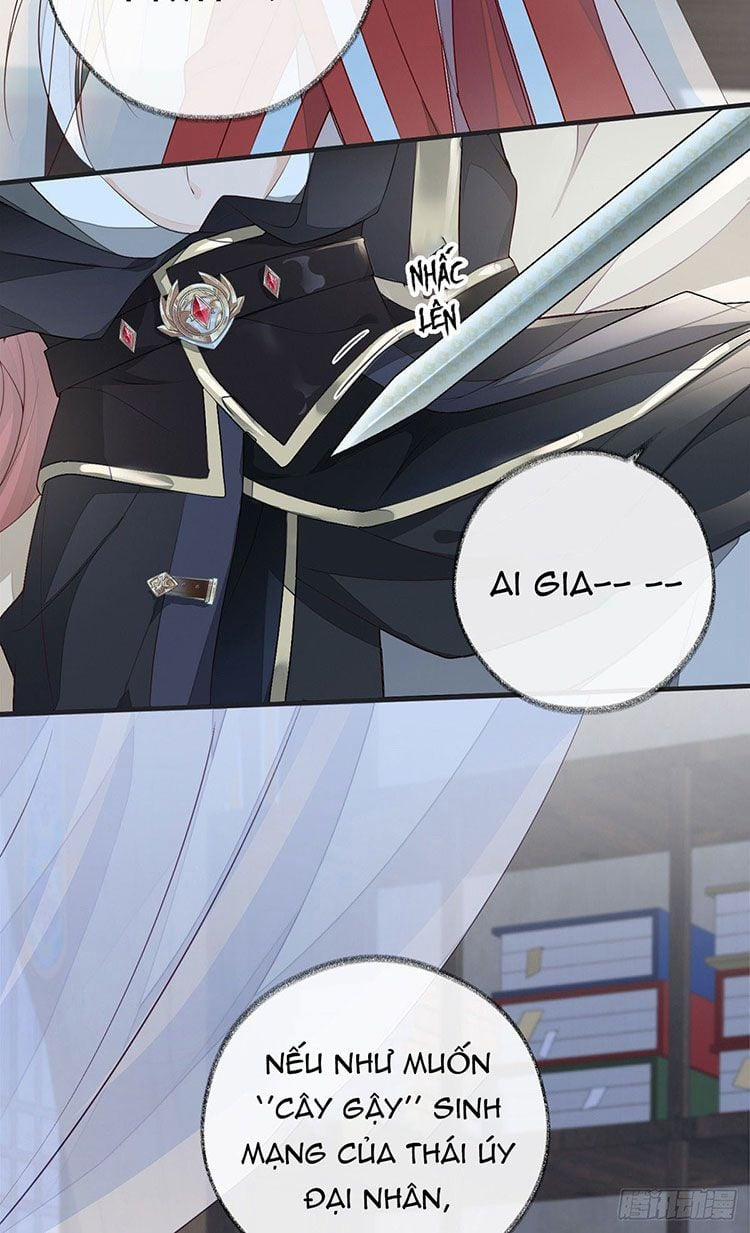 Thái Hậu Quân Hạ Thần 33 trang 34