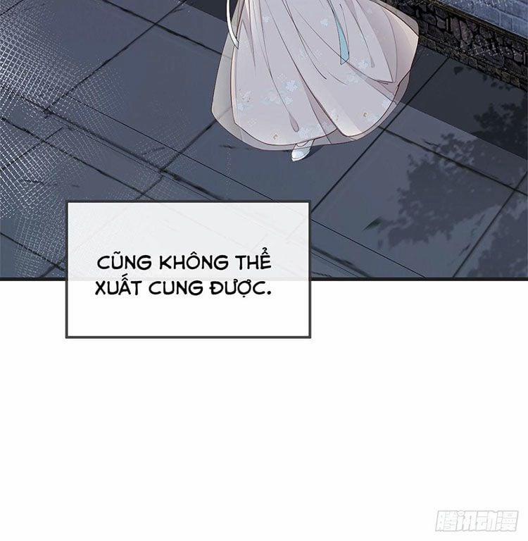 Thái Hậu Quân Hạ Thần 39 trang 11