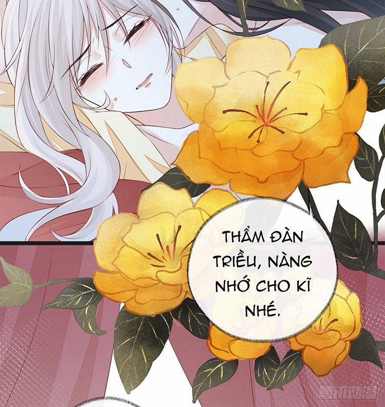 Thái Hậu Quân Hạ Thần 40 trang 41