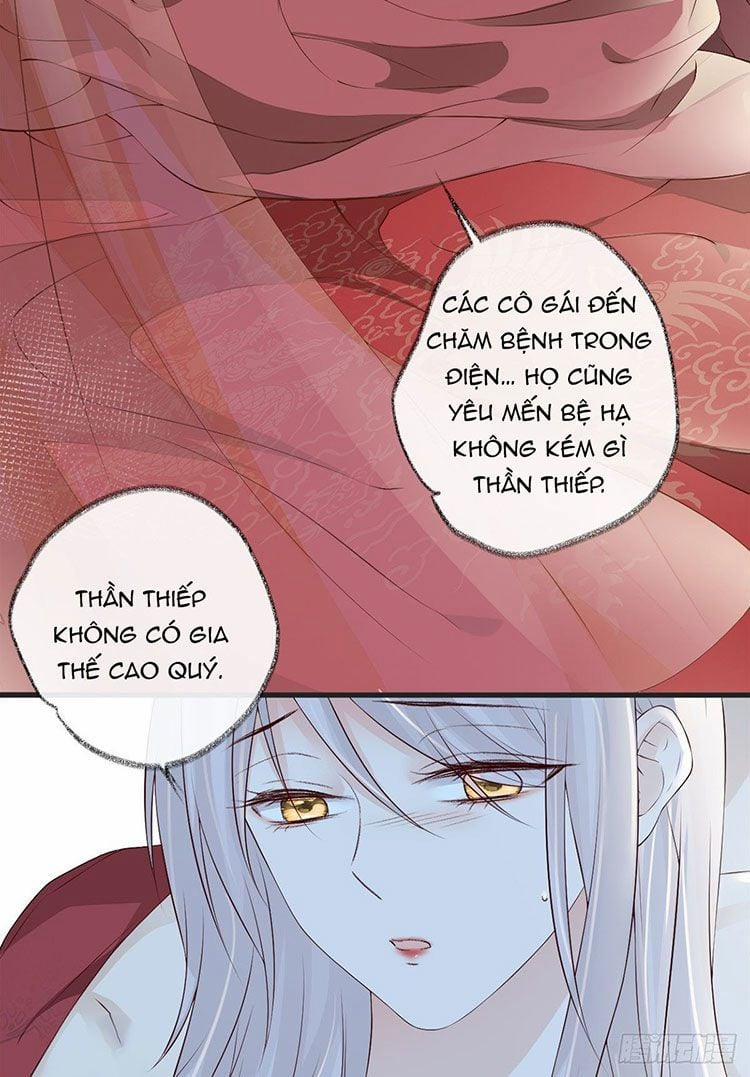 Thái Hậu Quân Hạ Thần 41 trang 1