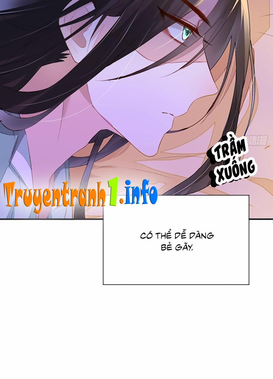 Thái Hậu Quân Hạ Thần 6 trang 17