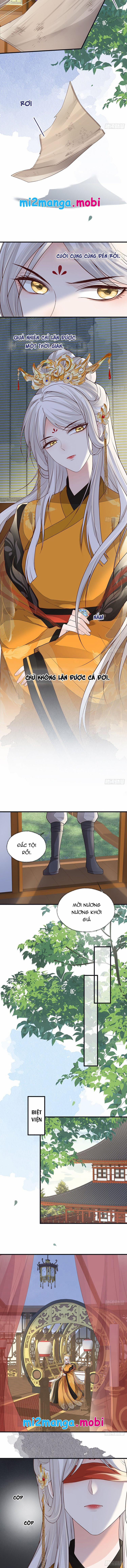 Thái Hậu Quân Hạ Thần 99 trang 1