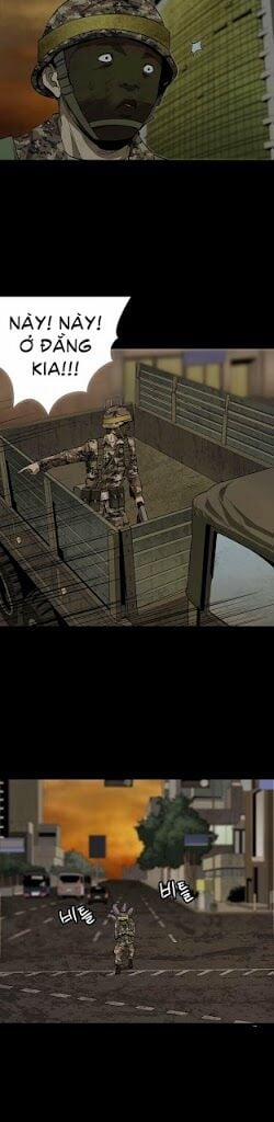 Thảm Họa Ong Độc 11 trang 17