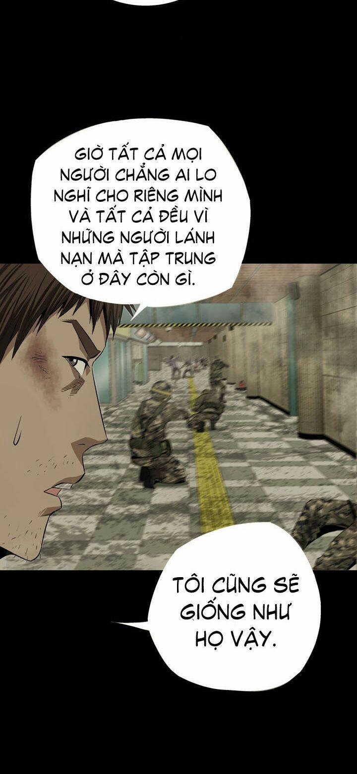 Thảm Họa Ong Độc 12 trang 17