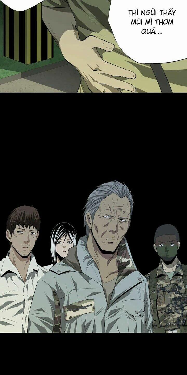Thảm Họa Ong Độc 20 trang 32