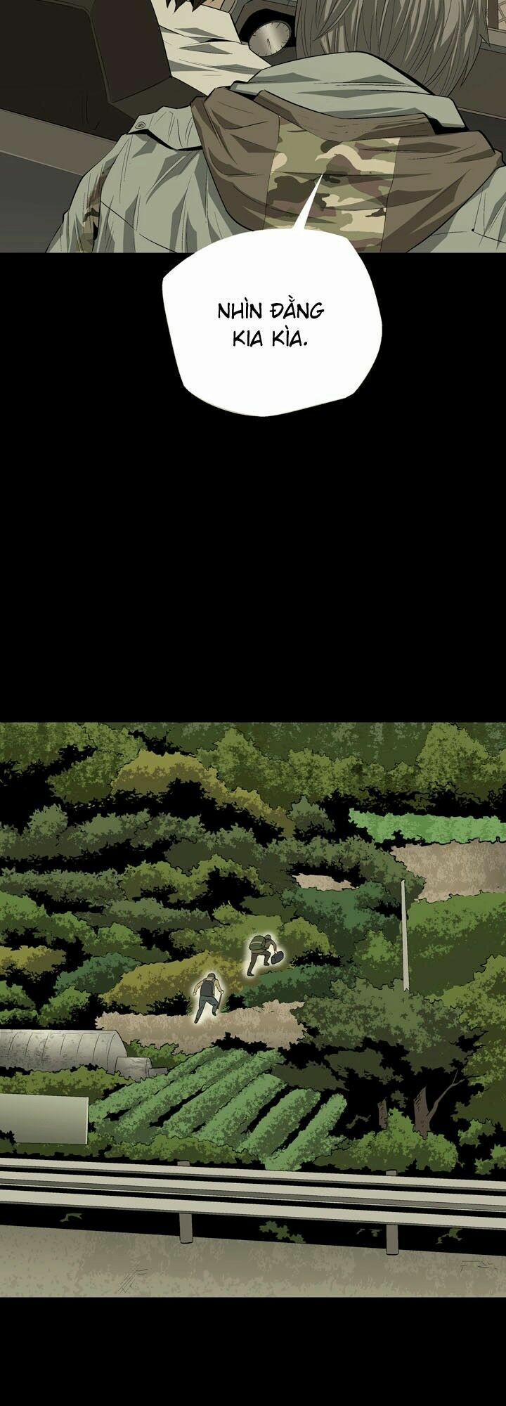 Thảm Họa Ong Độc 21 trang 17