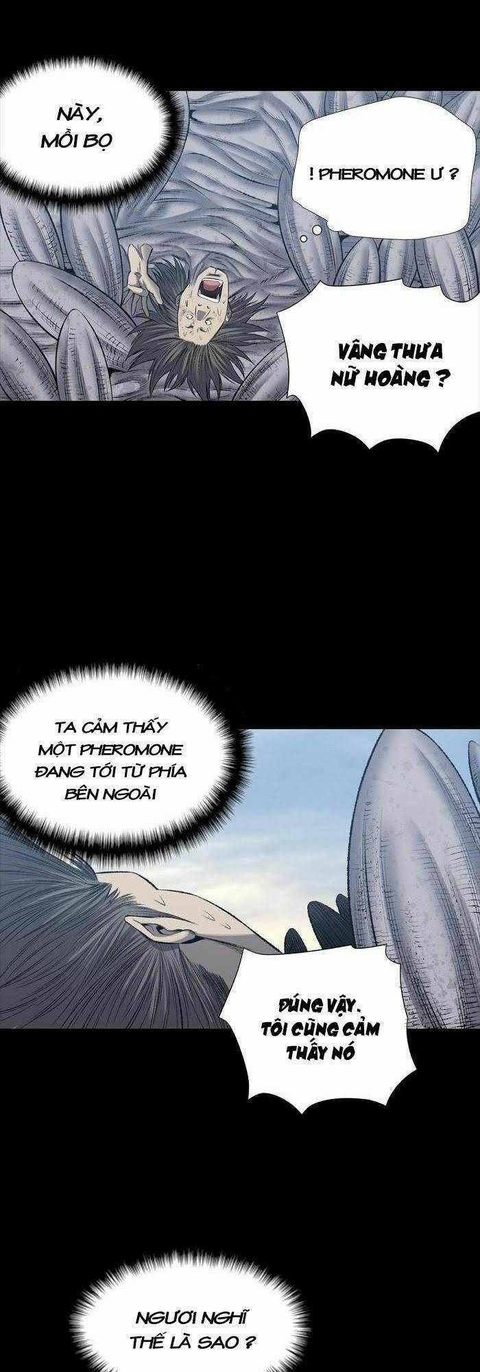 Thảm Họa Ong Độc 226 trang 13