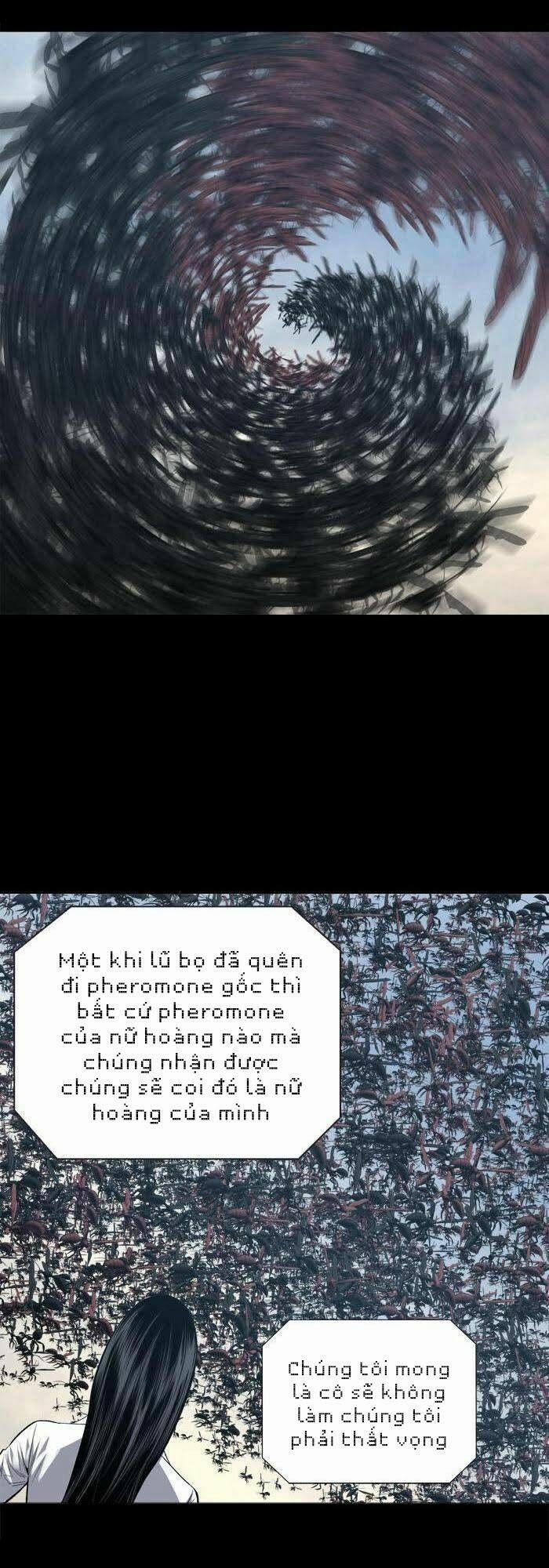 Thảm Họa Ong Độc 228 trang 24