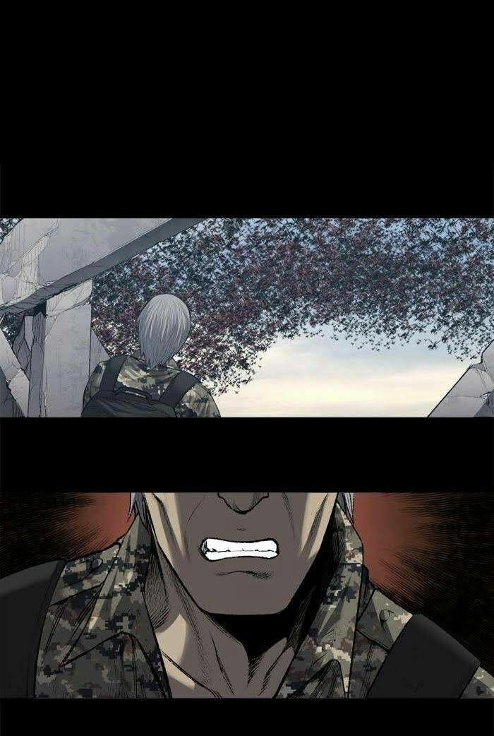 Thảm Họa Ong Độc 228 trang 25